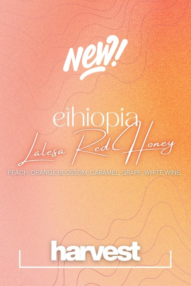 ETHIOPIA LALESA RED HONEY