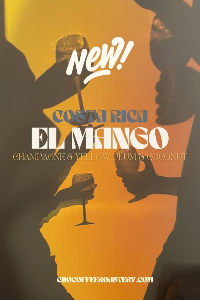 COSTA RICA EL MANGO