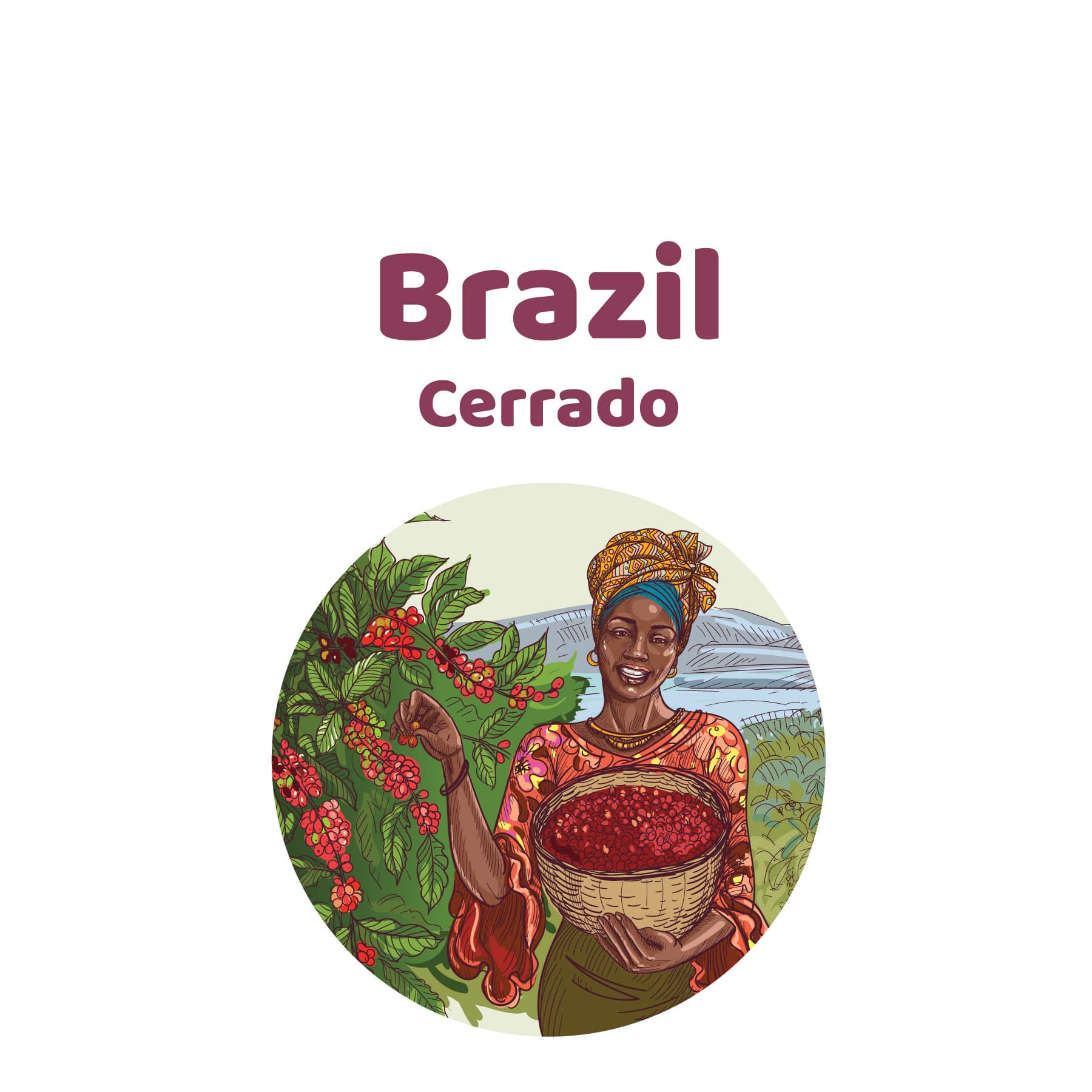 Brazil Cerrado