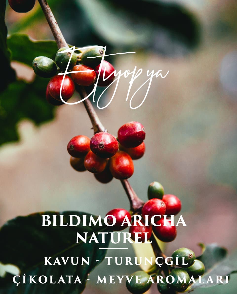 Etiyopya Bildimo Naturel