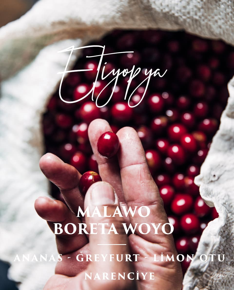 Etiyopya Malawo Woyo