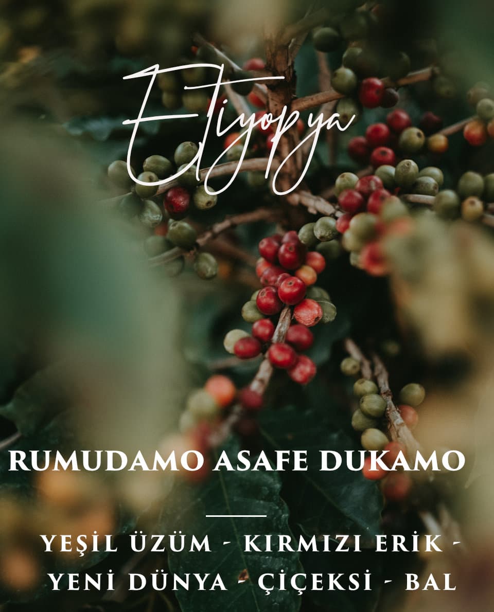 Etiyopya Rumudamo