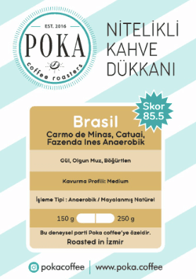 YENİ – BREZİLYA FAZENDA INES ANAEROBİK