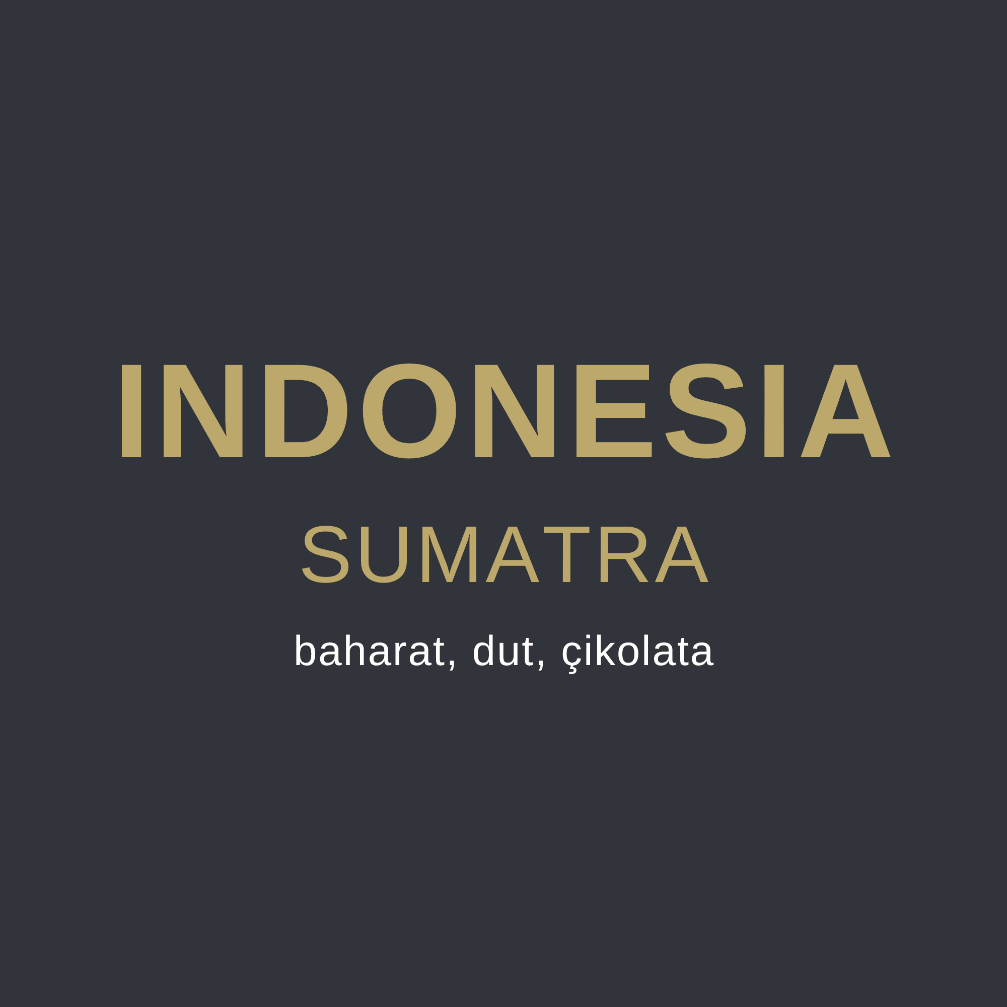INDONESIA SUMATRA