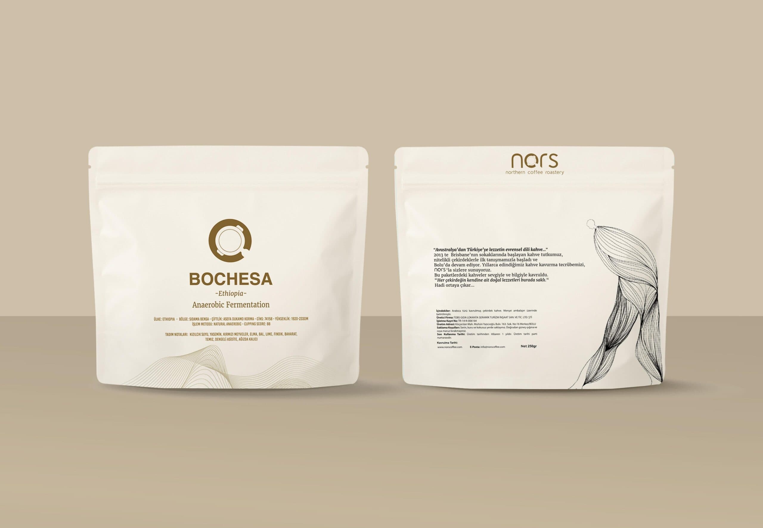 Ethiopia Bochesa