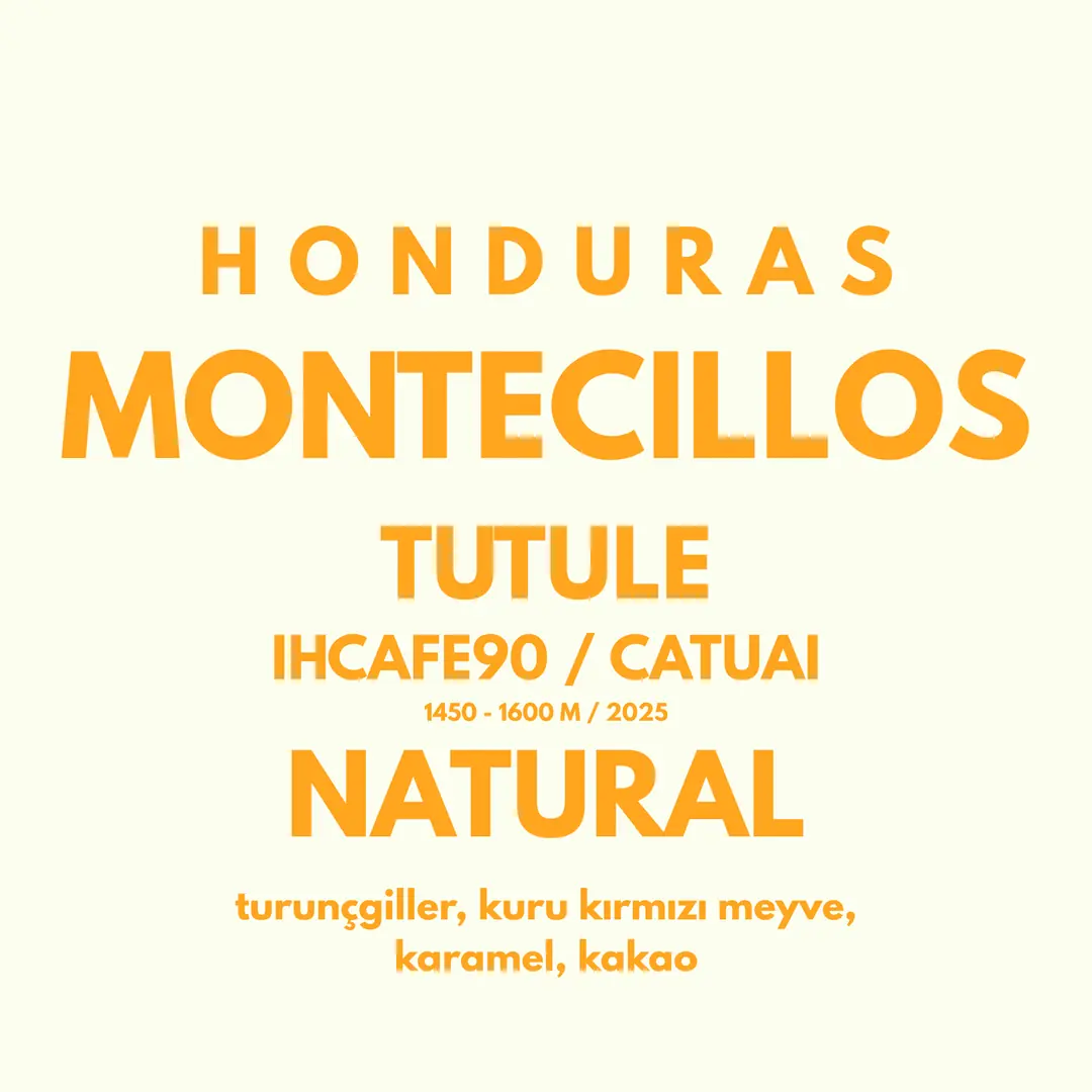 HONDURAS - MONTECILLOS TUTULE - NATURAL