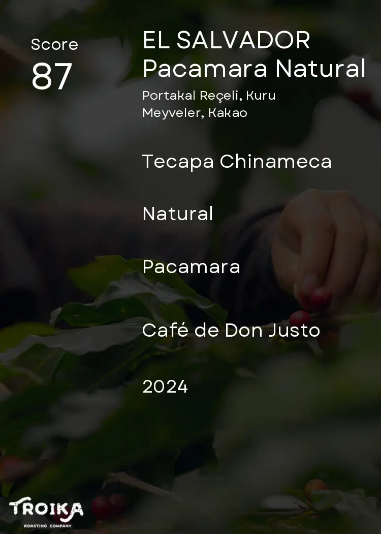 EL SALVADOR - Pacamara Natural