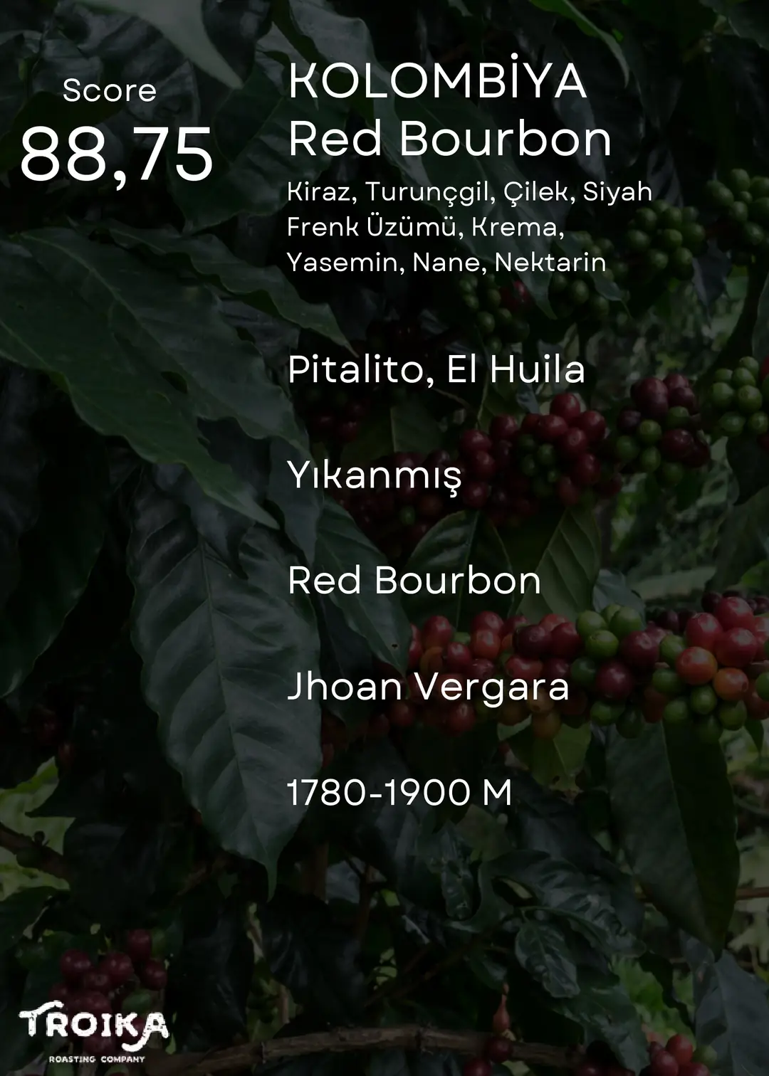 COLOMBIA - Finca Las Flores - Red Bourbon Washed