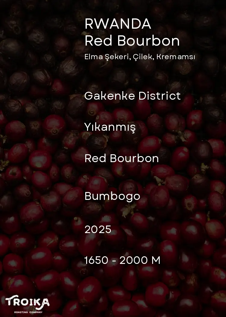 RUANDA - Bumbogo - Red Bourbon