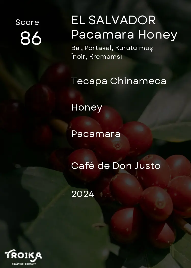 EL SALVADOR - Pacamara Honey