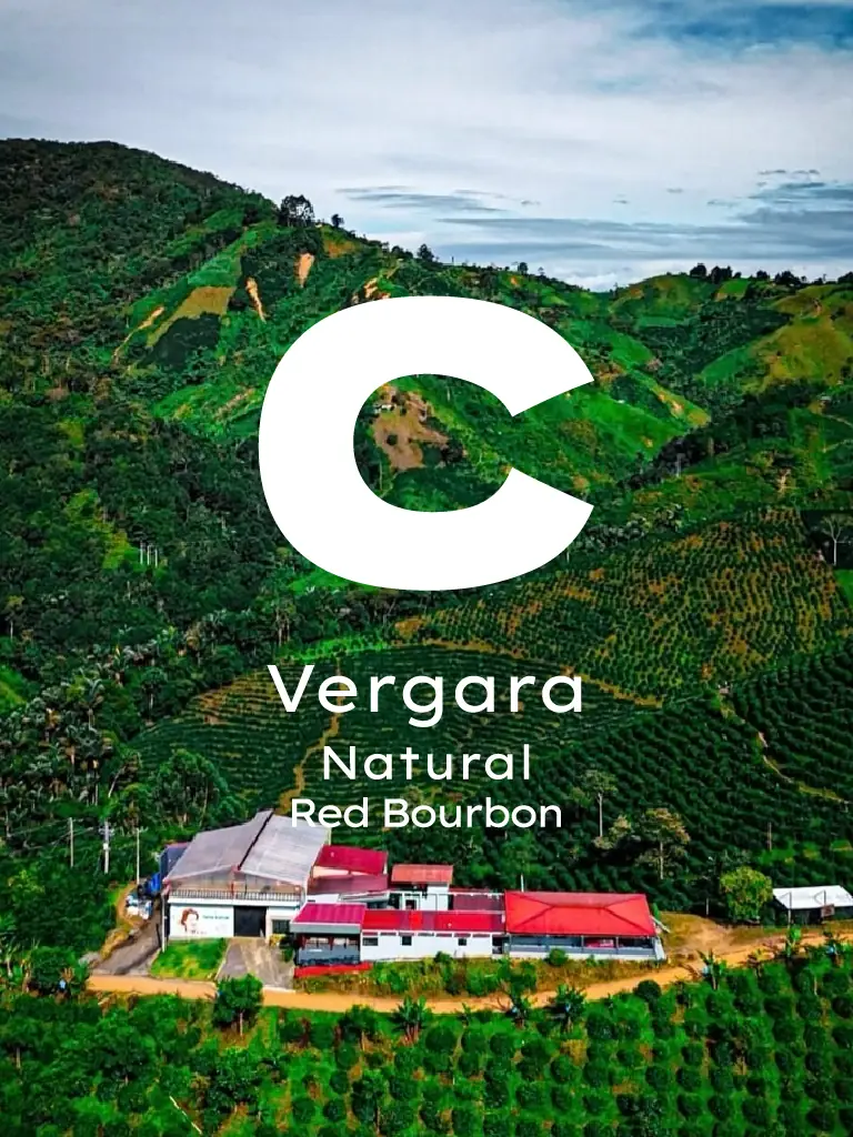 Kolombiya Vergara Red Bourbon