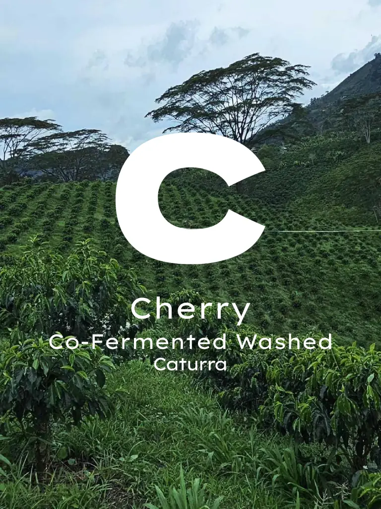 Kolombiya Cherry