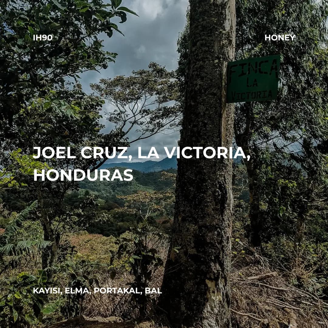 Joel Cruz, La Victoria, Honduras