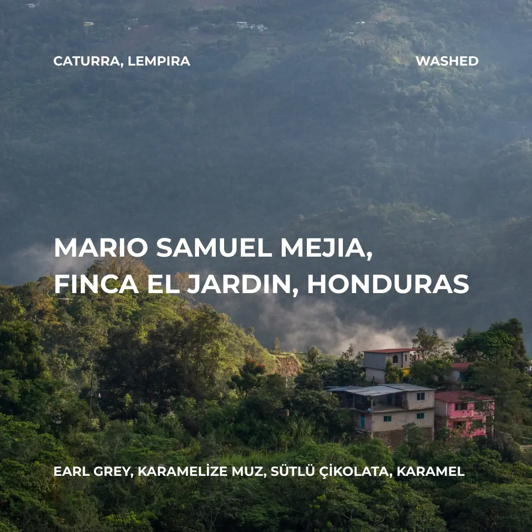 Mario Samuel Mejia Rodriguez, Finca El Jardin, Honduras