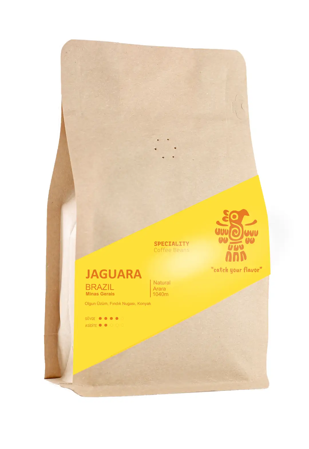 Brazil Jaguara