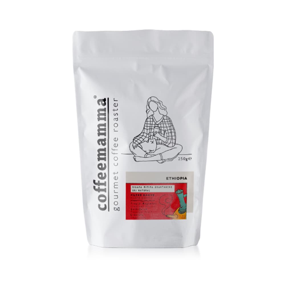 Ethiopia Sidama Mitima Shantawene Gr1 Natural