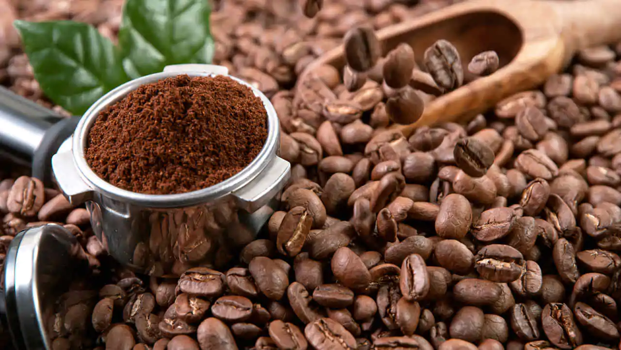 PREMIUM BLEND Filtre