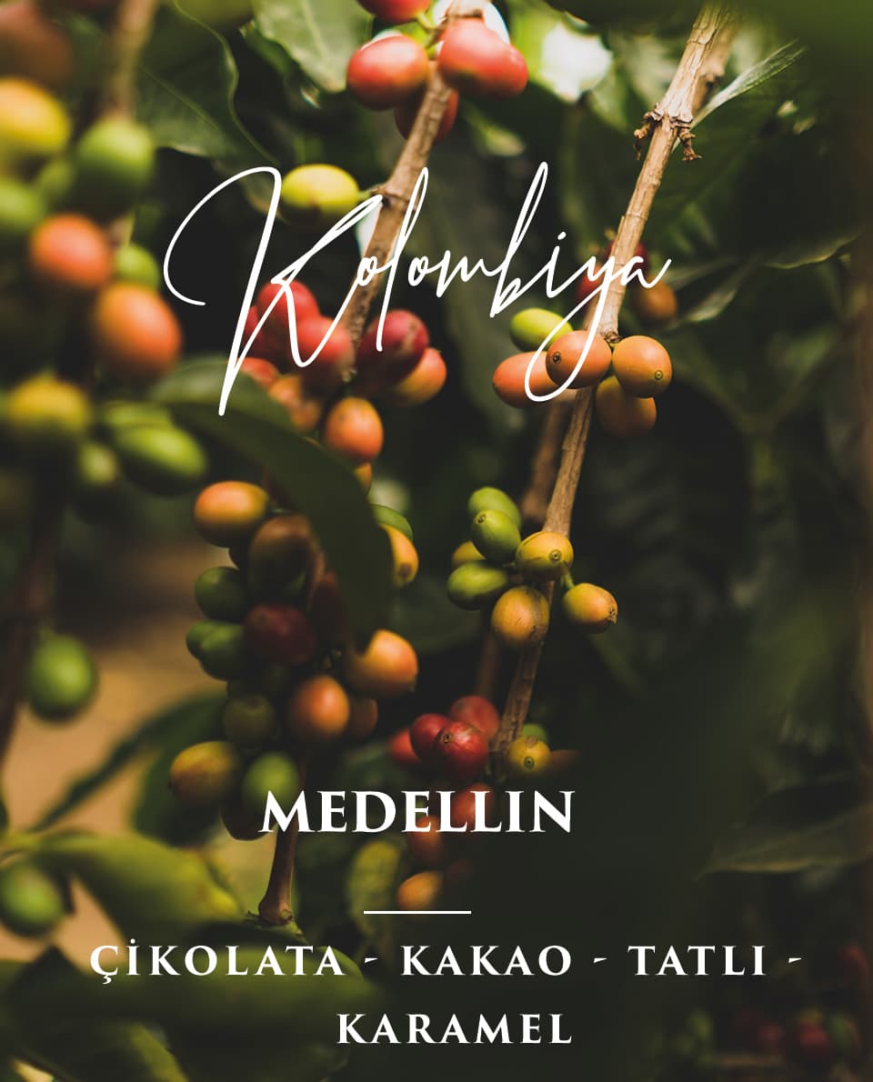 Kolombiya Medellin