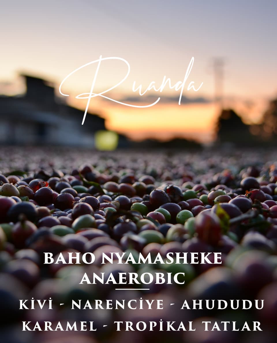 Ruanda Baho Anaerobic