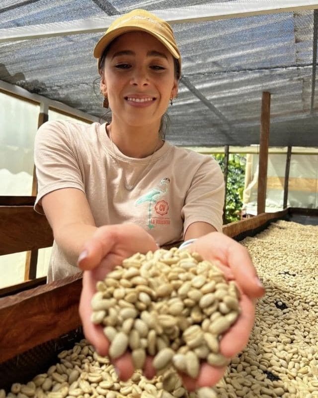 Colombia / Ambera Farm / Peach Co - Ferment