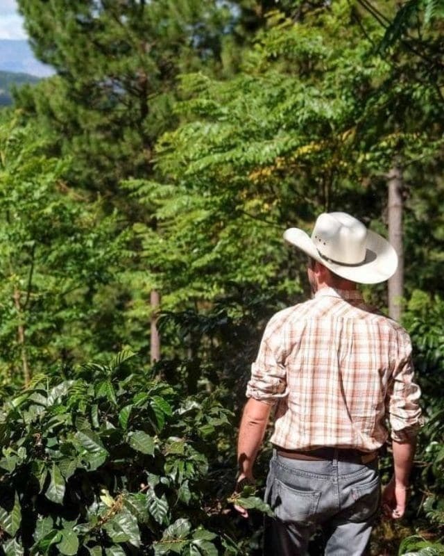 Honduras / Las Calaveras / Natural