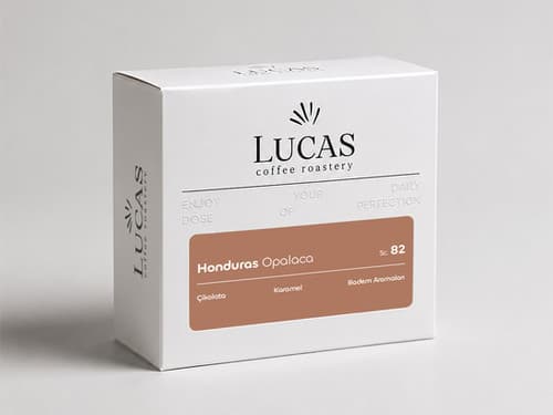 Honduras Opalaca