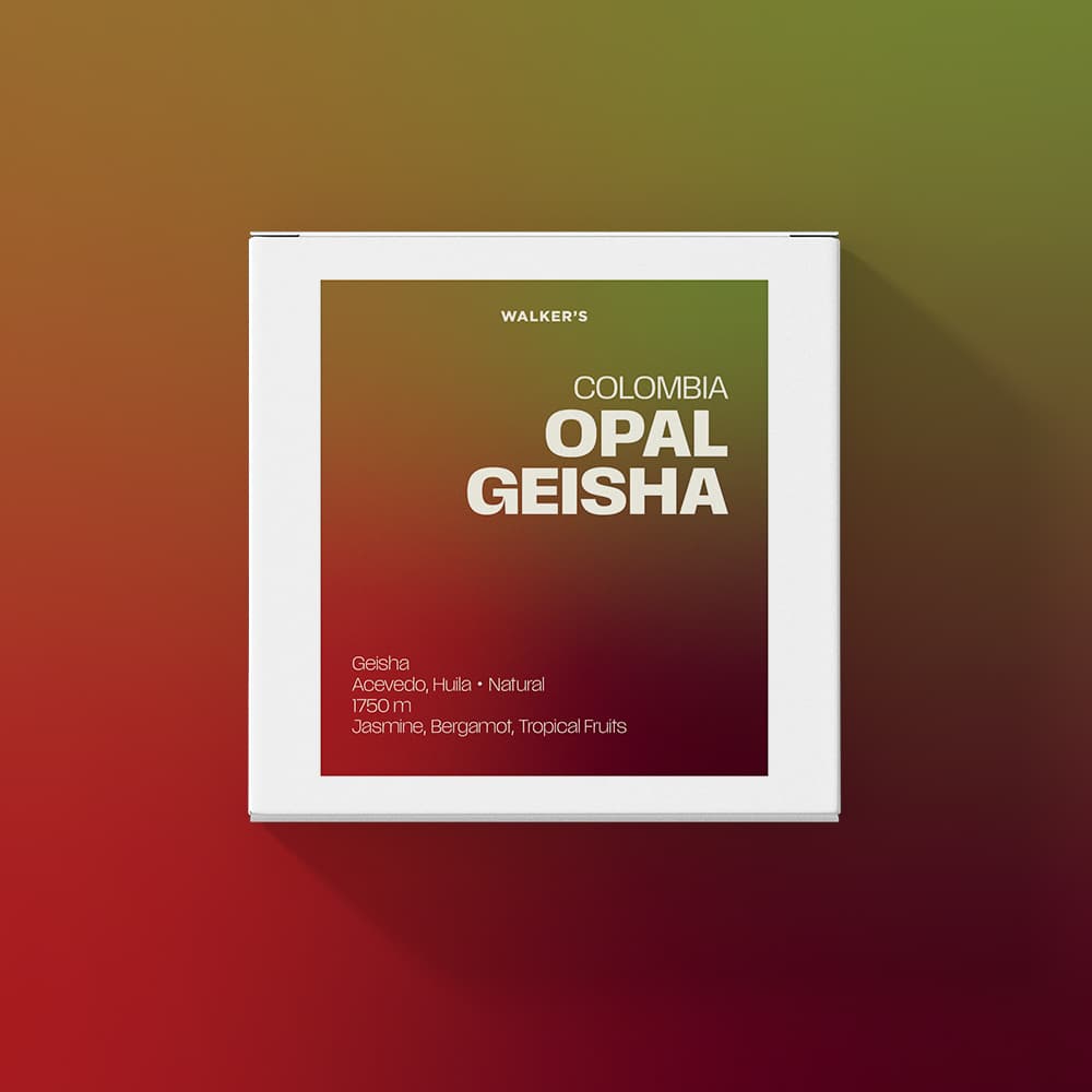 Colombia Opal Geisha
