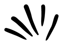 Lucas Coffee Roastery logo